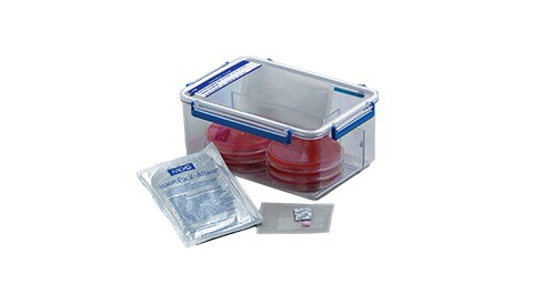 Microbiology Environmental Systems