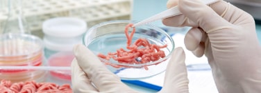 Food and Beverage Applications