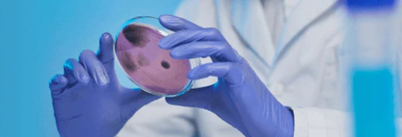 Clinical Microbiology Products