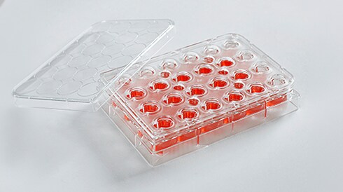 Drug Discovery Assay Development