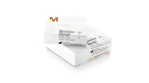 E Blotting Sandwiches