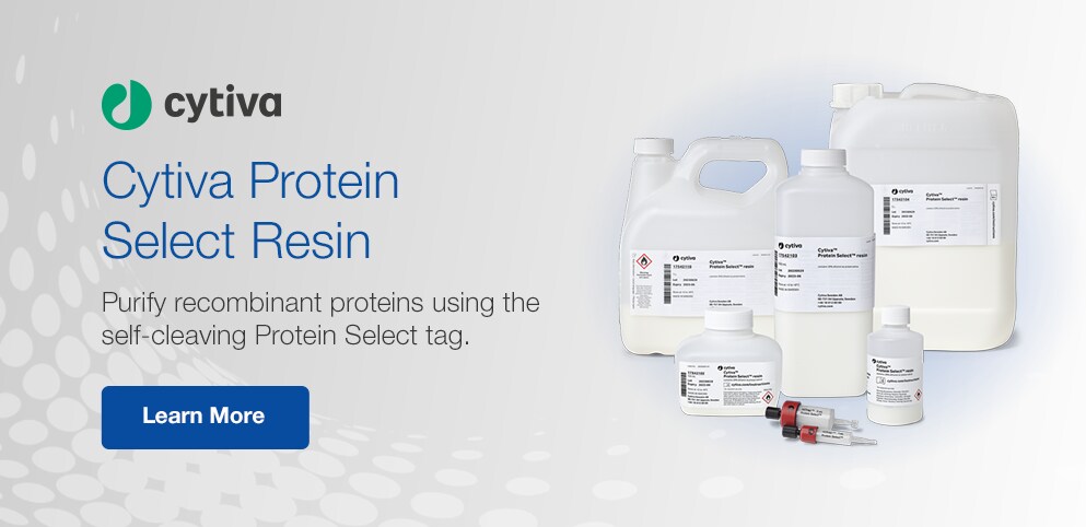 Are You Getting the Most Out of Our Website