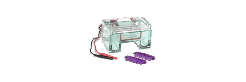 Gel Electrophoresis Equipment and Supplies