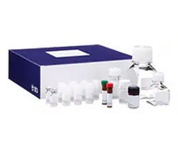 Cell Structure Reagents and Kits