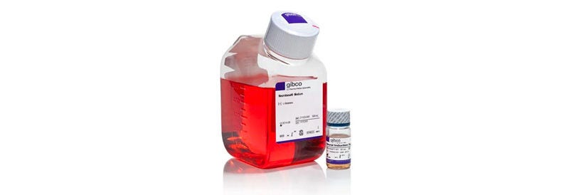 Gibco™ PSC Neural Induction Medium