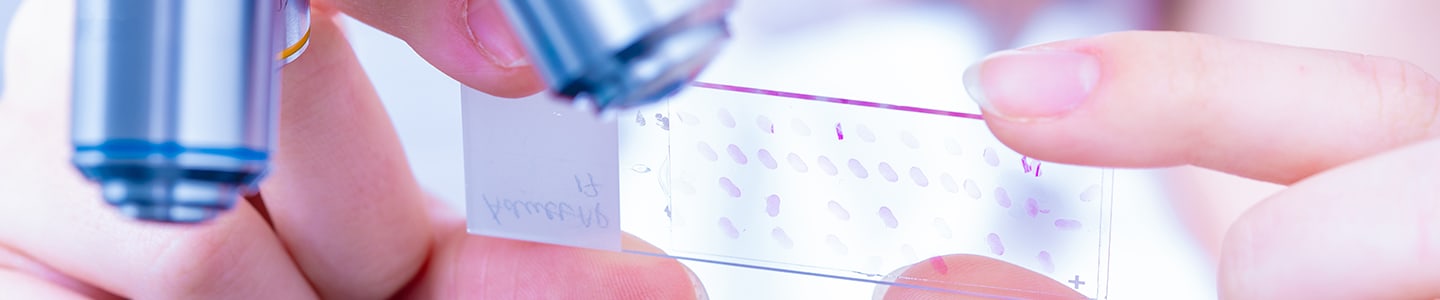 Fisherbrand Histology Slide Comparison Guide