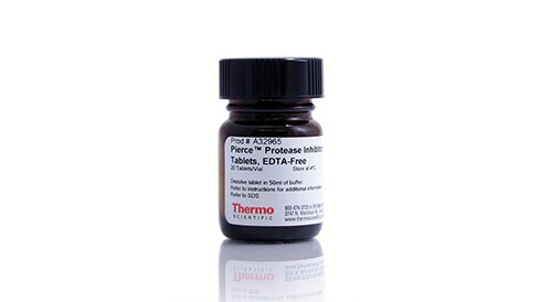 Protease Inhibitors and Phosphatase Inhibitors