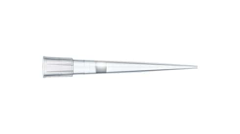 Pipette Tips