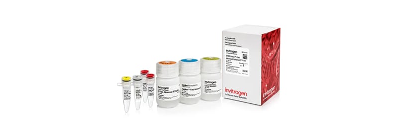 Thermo Scientific Mem-PER Plus Membrane Protein Extraction Kit 300