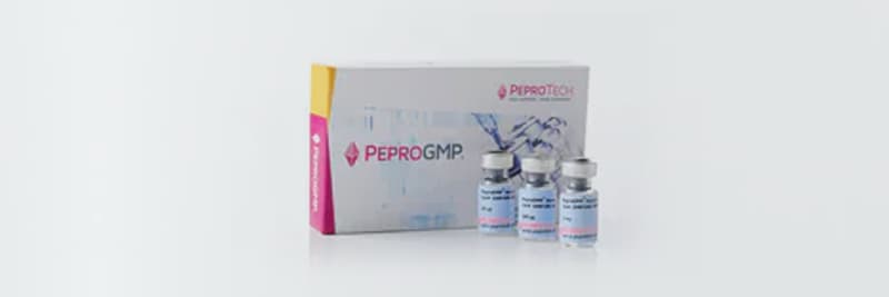 Shop recombinant proteins