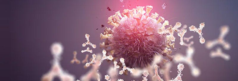 Monoclonal Antibody Production