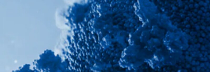 Specimen Collection and Transport Products