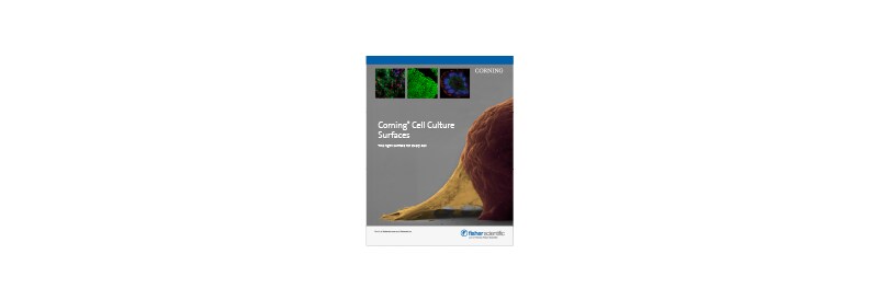 Download the Corning Cell Culture Surfaces white paper. 