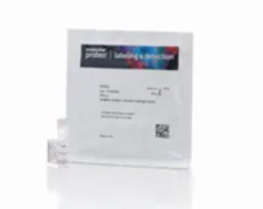 Electrophoresis Gel Stains