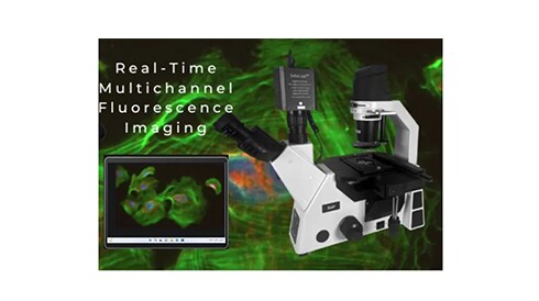 Laxco™ SLi6PRO Inverted Fluorescent Microscope