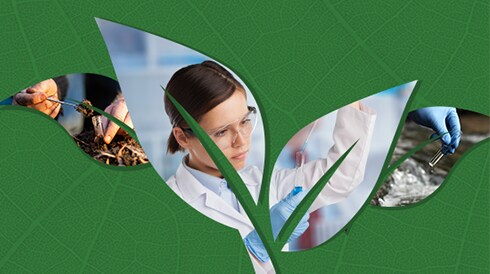 Leading the Way in Sustainability Innovation