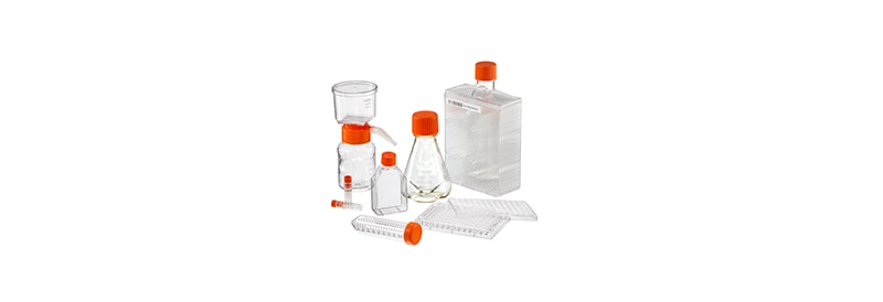 Cell Culture