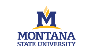 Montana State University logo