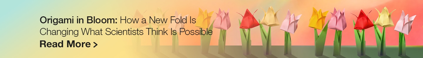 Origami in Bloom: How a New Fold Is Changing What Scientists Think Is Possible