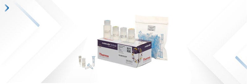 PCR and Nucleic Acid Assays