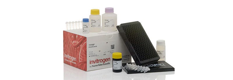 Multiplex Immunoassays