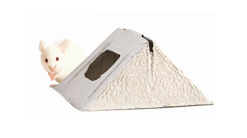 Animal Enrichment Devices