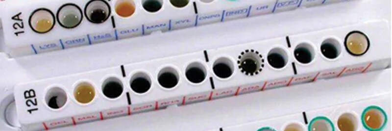 Confirmation, Identification, and Quality Control