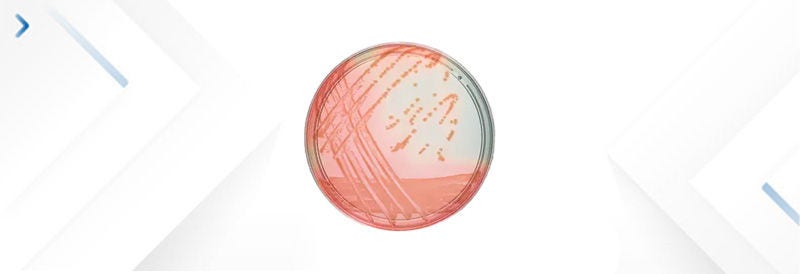 Microbiology