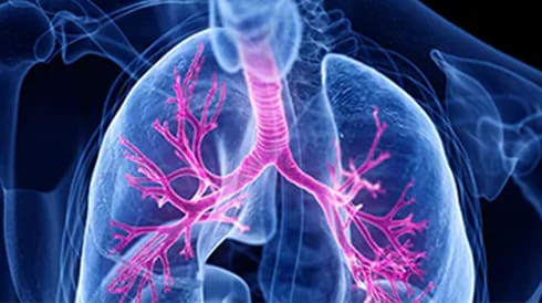 Respiratory Tract Microbiota Detection