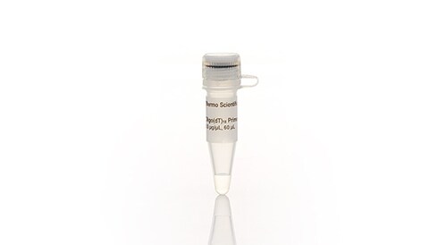 Oligonucleotides