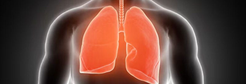 Robotic Cilia for Monitoring Airway Health