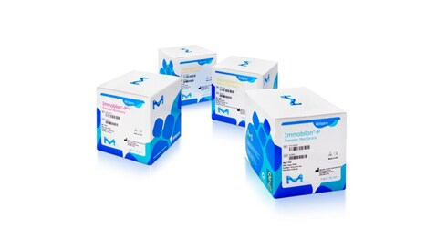 NOW Transfer Membranes