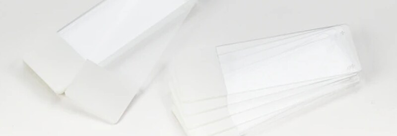 Superfrost Plus Slides