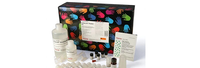 Protein Biology Methods