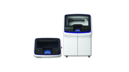 Maximize Your Productivity