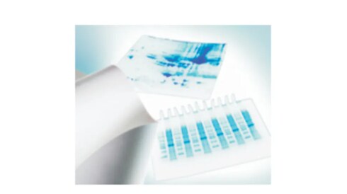 P PVDF Transfer Membranes