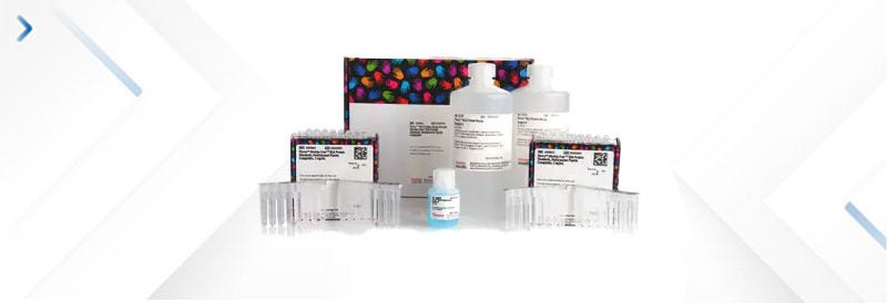 Molecular Biology