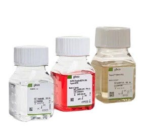 24983_Merch_P1_Product