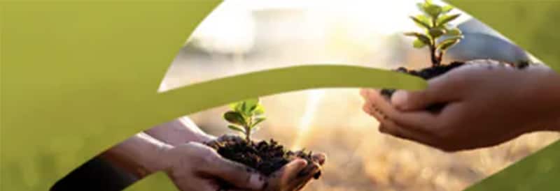 Sustainability Program