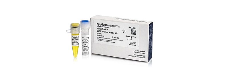 SYBR Green-Based Detection