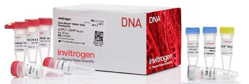 Molecular Biology Methods