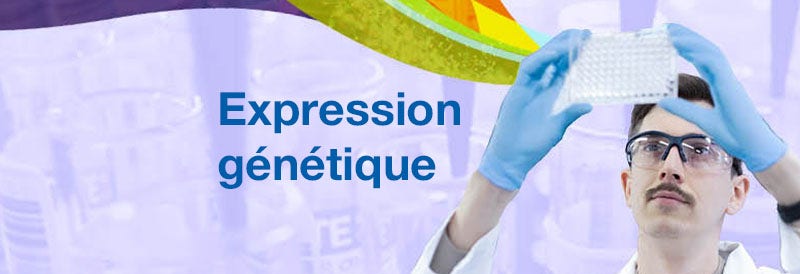 Expression Genetique