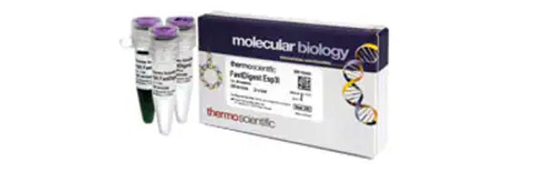 Enzymes and Inhibitors