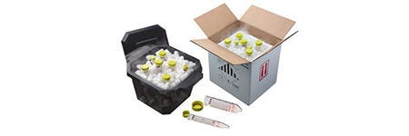 Labcon ProtectR Tubes