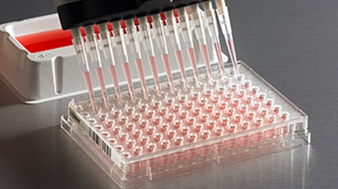 Drug Discovery Screening