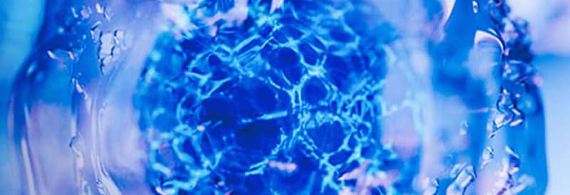 Cell Analysis & Assays