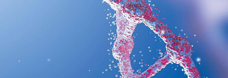 Tools to Design, Transfect, and Detect