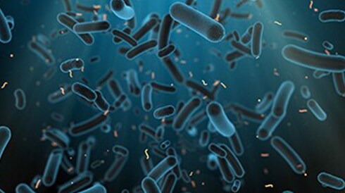 Urinary Tract Microbiota Detection