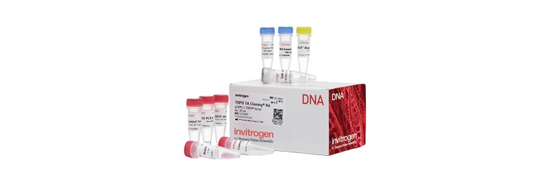 Molecular Biology Methods