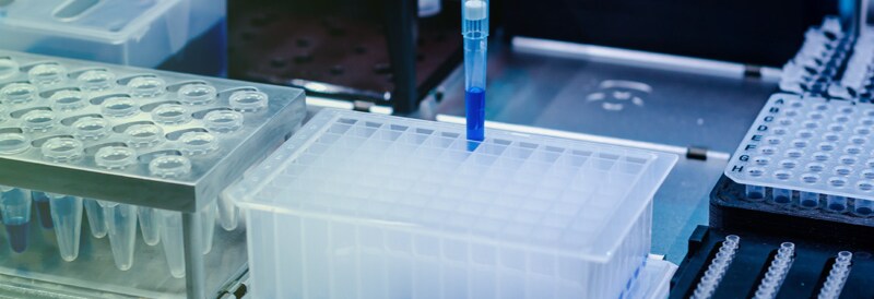 Redefining Women’s Health Diagnostics at the Point of Care